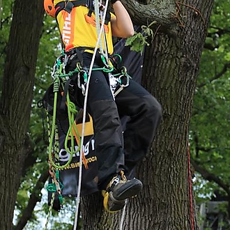 MISTROVSTVÍ EVROPY VE STROMOLEZENÍ 2011